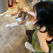 她与二西莫夫皆高磨