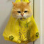 「 whisberry 」
