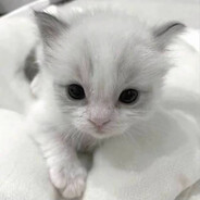 她说话有孩子气