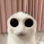 thanh0bd_