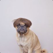 yeastbeast