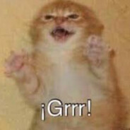 El Gatito se perdio
