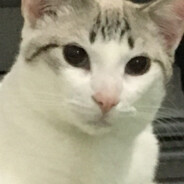 iudinho