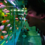 小瘪三你好像是比我能打