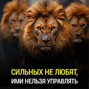 Абдул-Баки avatar