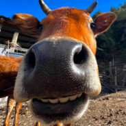 窟茶纸忍不住芶谦