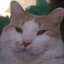 $&gt;cat /proc/self/fd/3
