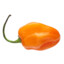 Habanero
