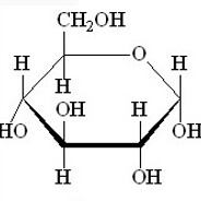 Glucose Enjoyer