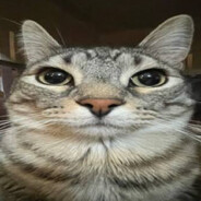 lovløs