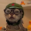 chairman meow