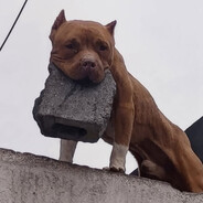 cerbatana