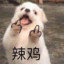 他只想整把AK他有什么错
