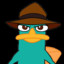 Abdul the platypus