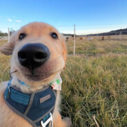 哥会跑调 但不会走掉