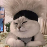 小黑子因