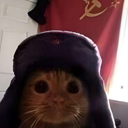 natanbmw