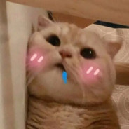 一个没有感情的放屁机器=3=3