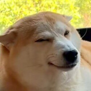 再看一眼就会爆炸