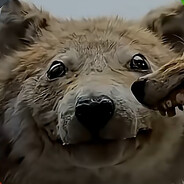 Ништяк(-_-)
