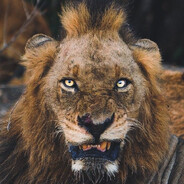 Mr T / TheSatan - steam id 76561198366009527