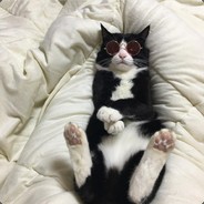 𝕂𝕆𝕊ℍ𝔸𝕂