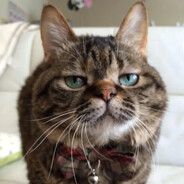 哎呀！主包得了MVP！