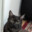 its my cat :)