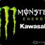 --MoNsTeReNeRgY--