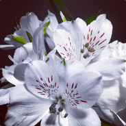 FREE 25$ FOR OPENING CASES