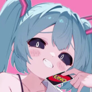 高雅不堪の玩家