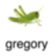qqwerman Steam avatar