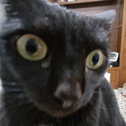 Xisburger - steam id 76561198404742472