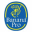 Banana-Pro