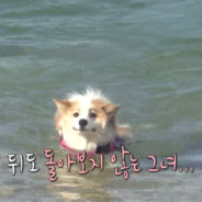 이구역의어쩌구