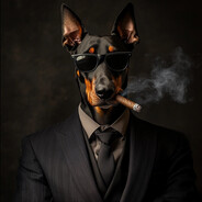 Sivle CS2-CASES.COM - steam id 76561199486596567