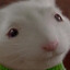 stuart little