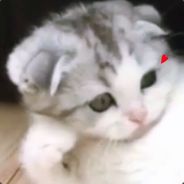 KIO