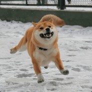 写写诗逗逗女孩