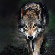 ganibabaev8 - steam id 76561198766471360