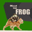 Bulking frog (on a cat)