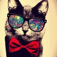 72Reqion - steam id 76561197960887471