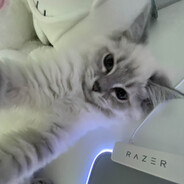 suki