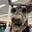 paRtyrockr Steam avatar