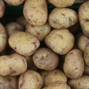 ilovepotatoes.gc - steam id 76561197965523371