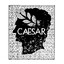 Ɑ͞ ̶͞ ̶͞ ﻝﮞ CAESAR