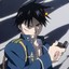 RoyMustang