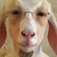 DevilDuckHD -GPX-