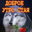пацаны волки
