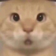 哈基仙人忠实粉丝